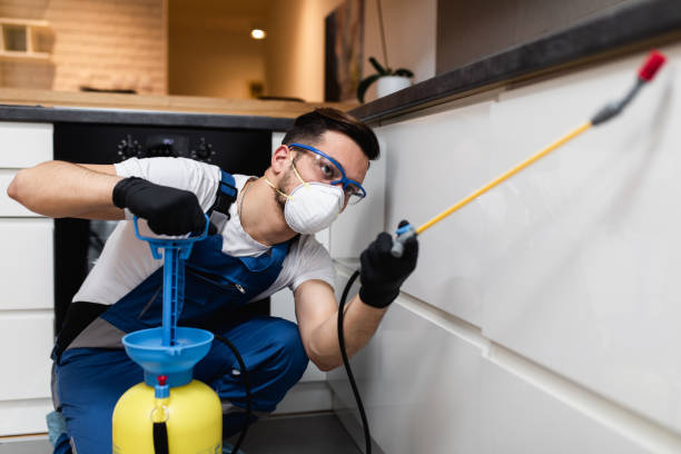 Best Termite Control Services  in Belleair, FL