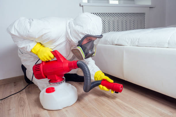 Wasp Removal Services in Belleair, FL