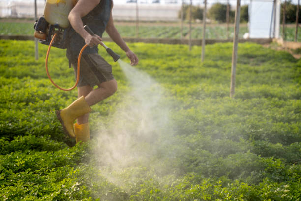 Best Pest Inspection Near Me  in Belleair, FL