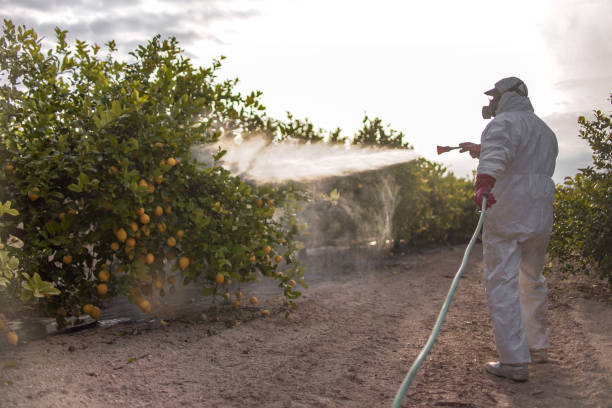 Belleair, FL Pest Control Pros
