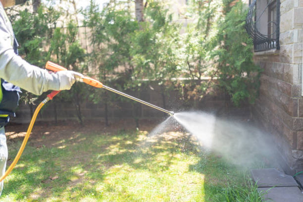 Best Mosquito Control Services  in Belleair, FL