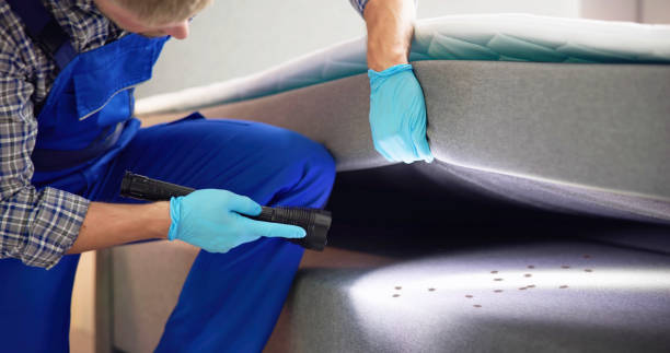 Best Local Pest Control Services  in Belleair, FL