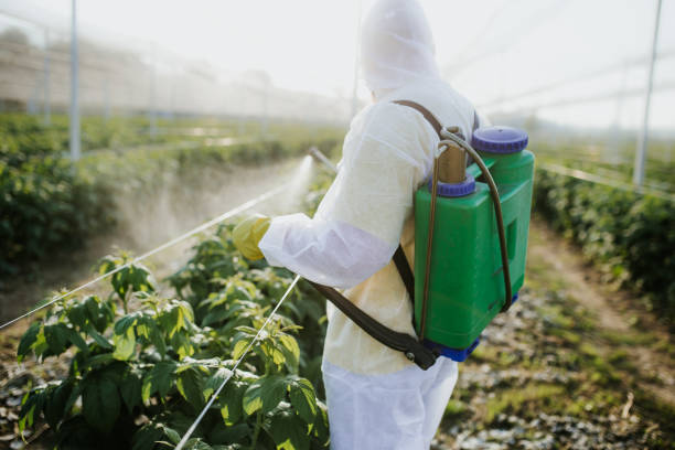 Pest Control Cost in Belleair, FL